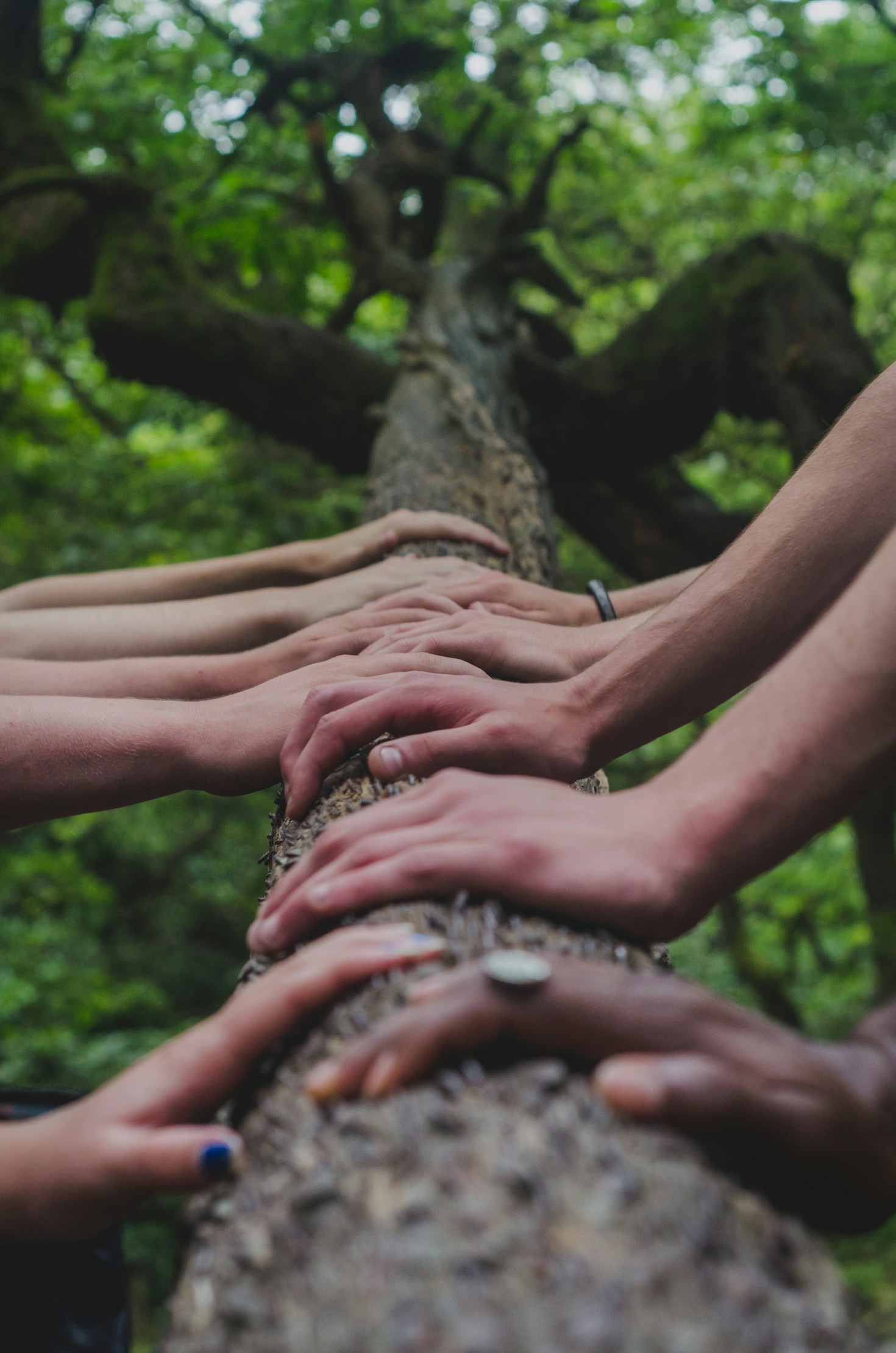 5 Ways UCBH Empowers Community Growth